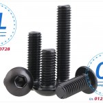 Bolt lục giác chìm đầu cầu mạ đen M4x6 M4*6 DIN 10.9