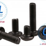 Bolt lục giác chìm đầu cầu mạ đen M4x8 M4*8 DIN 10.9
